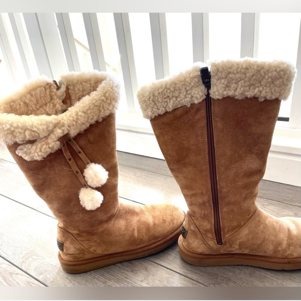 Ugg Australia Plumdale Cuff Winter Boots